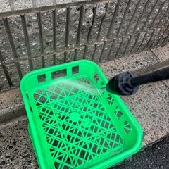 【中古菌糸コンテナM】 ブローや菌床ボトルの整理に最適　積み重ねでスペース確保♪20個の画像