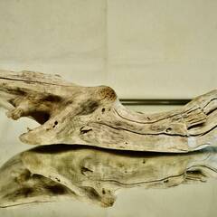 SEASIDEinterior★インテリアディスプレイに流木 Cool driftwood for decorating 163の画像
