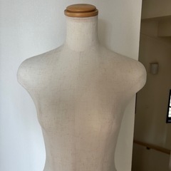 トルソー　マネキン　全身　の画像