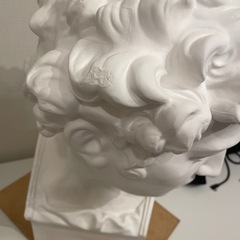 石膏像　胸像　メディチの画像