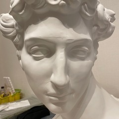 石膏像　胸像　メディチの画像