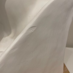 石膏像　胸像　メディチの画像