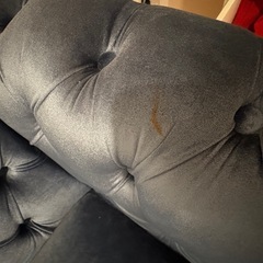 【決定】2人掛けブルーベルベットソファの画像