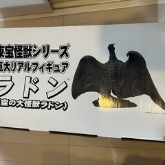 巨大リアルフィギュア ラドン (空の大怪獣ラドン) ユニファイブの画像