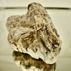 SEASIDEinterior★インテリアディスプレイに流木 Cool driftwood for decorating 164の画像