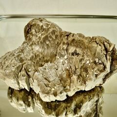 SEASIDEinterior★インテリアディスプレイに流木 Cool driftwood for decorating 164の画像