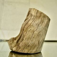 SEASIDEinterior★インテリアディスプレイに流木 Cool driftwood for decorating 165の画像