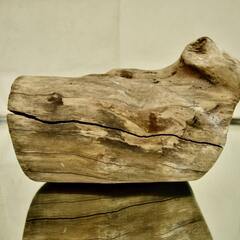 SEASIDEinterior★インテリアディスプレイに流木 Cool driftwood for decorating 165の画像