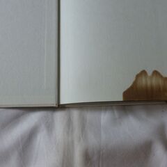 優香写真集の画像