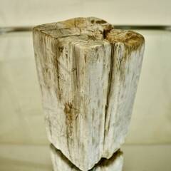 SEASIDEinterior★インテリアディスプレイに流木 Cool driftwood for decorating 166の画像