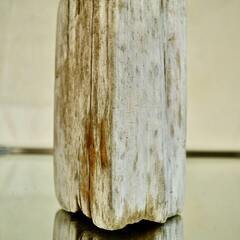 SEASIDEinterior★インテリアディスプレイに流木 Cool driftwood for decorating 166の画像