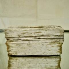 SEASIDEinterior★インテリアディスプレイに流木 Cool driftwood for decorating 166の画像
