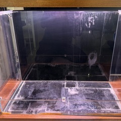 DOOA】システムパルダ（霧発生装置30＋ネオグラスパルダ60）