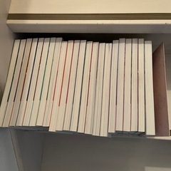 RIDEX ライデックス　全巻　RIDEX Finalセットの画像