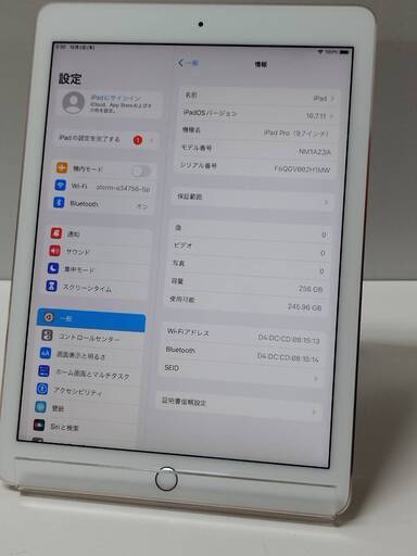 【Wi-Fiモデル】iPad Pro 9.7インチ(第1世代)/A1673/256GB〈MM1A2J/A〉