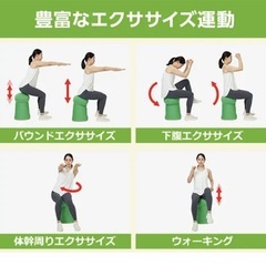 バランスチェア
の画像