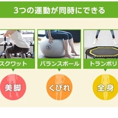 バランスチェア
の画像