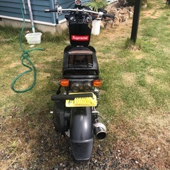 HONDAホンダZOOMRズーマー(改)の画像