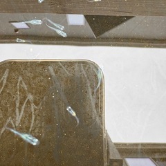 めだか　幹之(みゆき)スーパー光から産まれた稚魚、幼魚5匹セットの画像