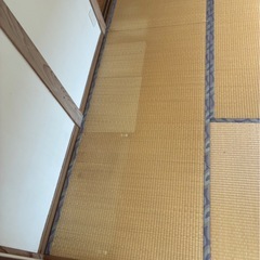 畳6枚の画像