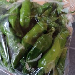 【取引中】ししとうの画像