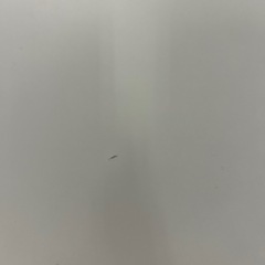 お引き渡し決定！　IKEAテーブル　LINNMON リンモン / ADILS オディリスの画像
