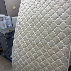 女性オーナーセミダブルベットの画像