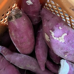 6茨城県産　紅はるか　洗い済み　訳ありの画像
