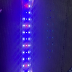 メダカ等水槽の画像
