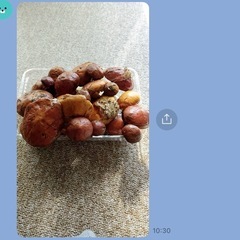落葉キノコ　パック詰め合わせの画像