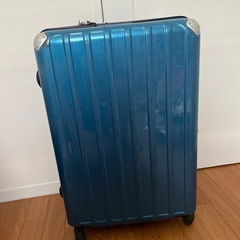 キャリーバッグの画像