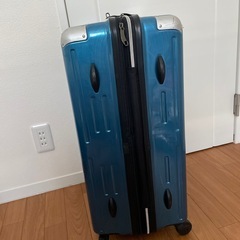 キャリーバッグの画像