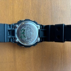 カシオ G-SHOCK DW-5600SNの画像