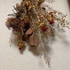ドライフラワーの画像
