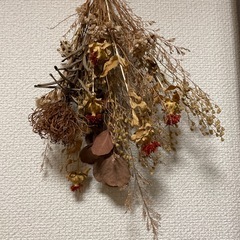 ドライフラワーの画像
