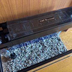 60cm水槽の画像