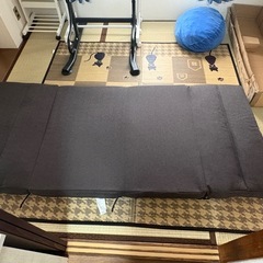 ローソファー(ベッドにもなる)の画像
