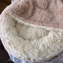 ケージなどの画像