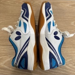 butterfly 23.5 　室内シューズの画像