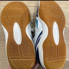 butterfly 23.5 　室内シューズの画像