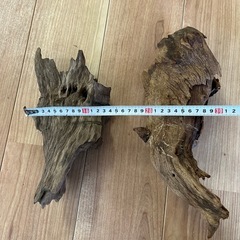流木　2つセット　1000円の画像