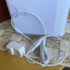 決定　
ここひえ　R4の画像