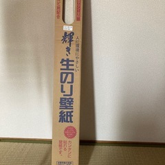 生のり壁紙の画像