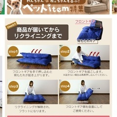 ほぼ無料！折りたたみローソファの画像