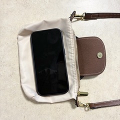 ミニショルダーバッグの画像