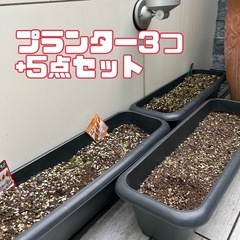 家庭菜園 プランター  セットの画像
