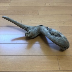 天然流木　流木　　インテリア　生花　店舗装飾の画像