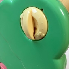 プーメリーの画像