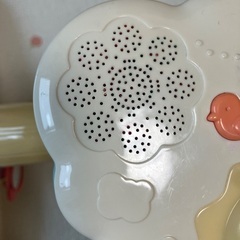 プーメリーの画像