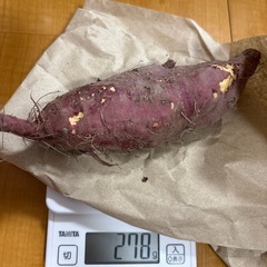 完全無農薬　サツマイモ1キロの画像